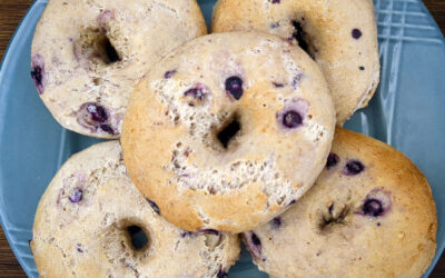 Blueberry Bagels